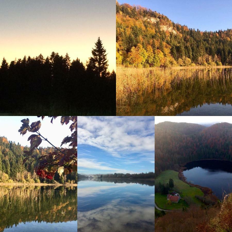 Gite Des Lacs Jumeaux Clairvaux-les-Lacs Buitenkant foto